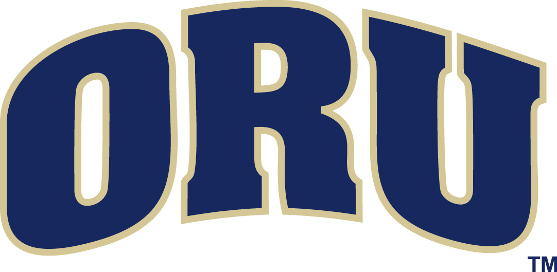 Oral Roberts Golden Eagles 1993-2016 Secondary Logo DIY iron on transfer (heat transfer)